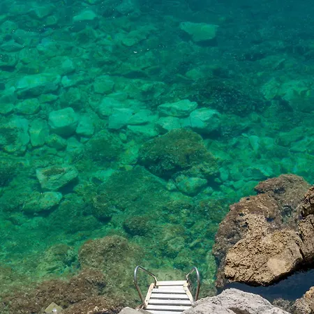 Amazing Beach Villa Becir Near Dubrovnik Molunat
