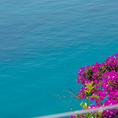 Amazing Beach Villa Becir Near Dubrovnik