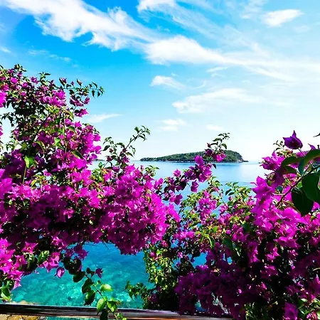 Amazing Beach Villa Becir Near Dubrovnik Villa